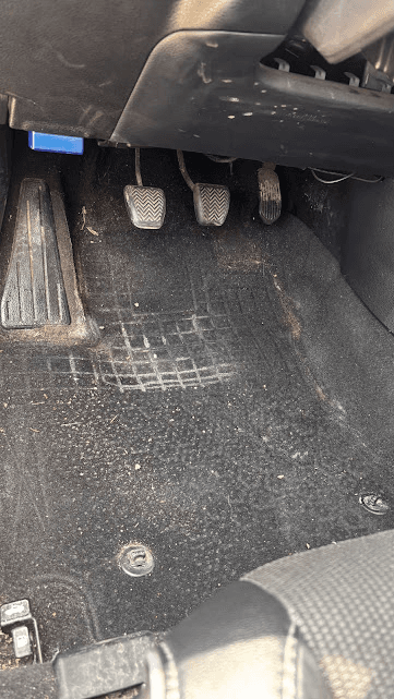 Carpet extraction — before